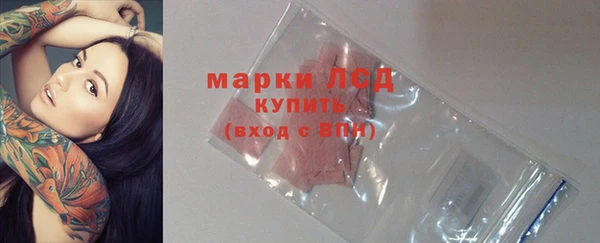 стафф Михайлов