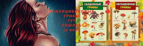 ешки Алексеевка
